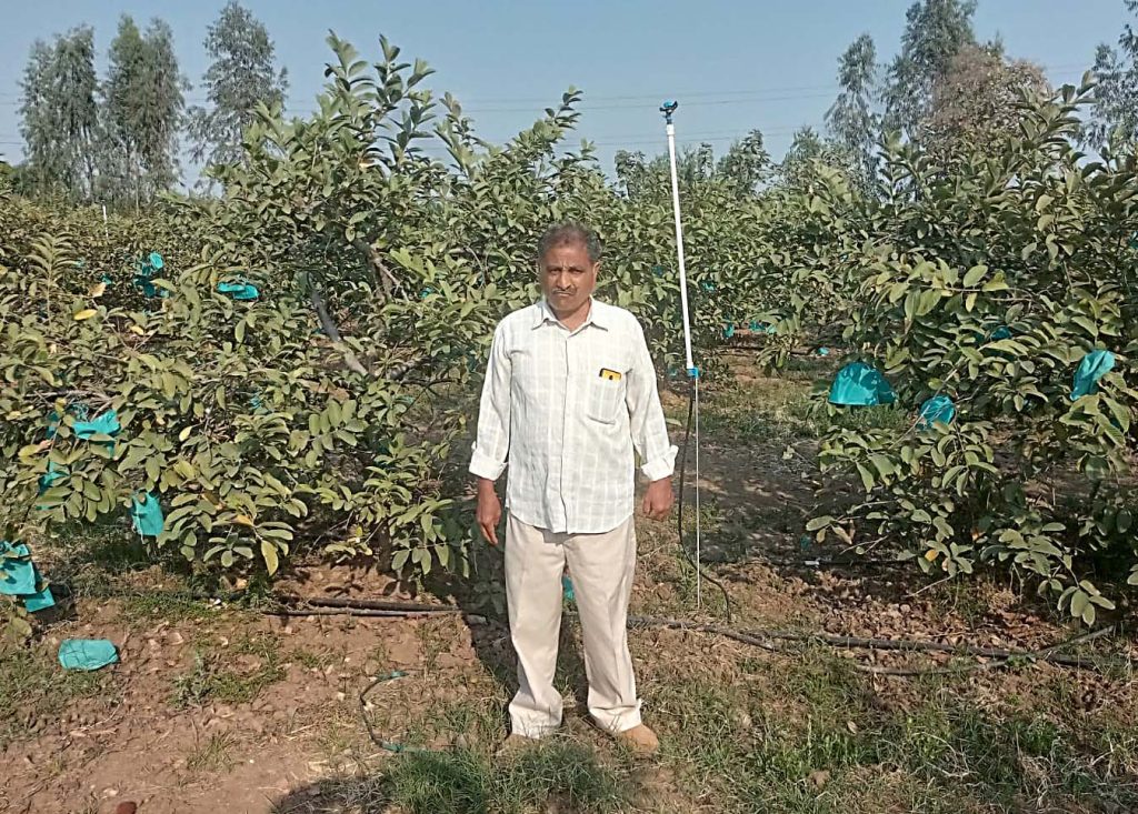 ચંદ્રાલા ગામના ખેડૂતે ૭ હેકટરમાં બાગાયતી ખેતી કરીને ત્રણ વર્ષમાં જ રૂ. ૪૨...