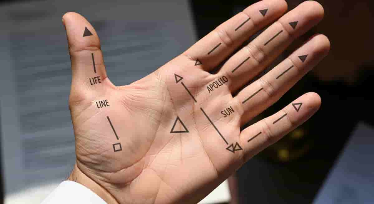 પોસ્ટ્સ