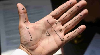 પોસ્ટ્સ