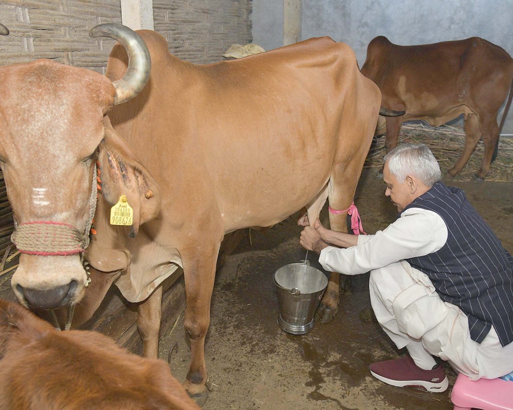 રાજ્યપાલે પ્રાકૃતિક કૃષિ કરતા ખેડૂતના ખેતર પર હળ ચલાવ્યું: વૃક્ષારોપણ...