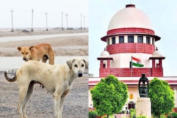 પોસ્ટ્સ