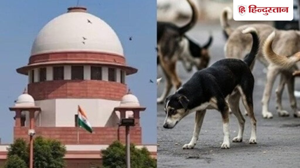 विदेशी नागरिक पर हमला कर रहे आवारा कुत्ते, देश की छवि पर असर: सुप्रीम...