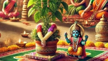 પોસ્ટ્સ