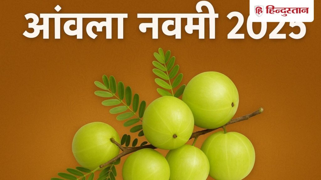 अक्षय या आंवला नवमी पर ऐसे करें पूजा, नोट कर लें विधि, उपाय, मंत्र, आरती से लेकर...
