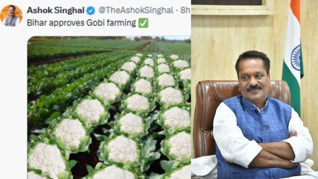 असम मंत्री अशोक सिंघल के 'गोभी फार्मिंग' वाले पोस्ट ने लौगांय नरसंहार की...