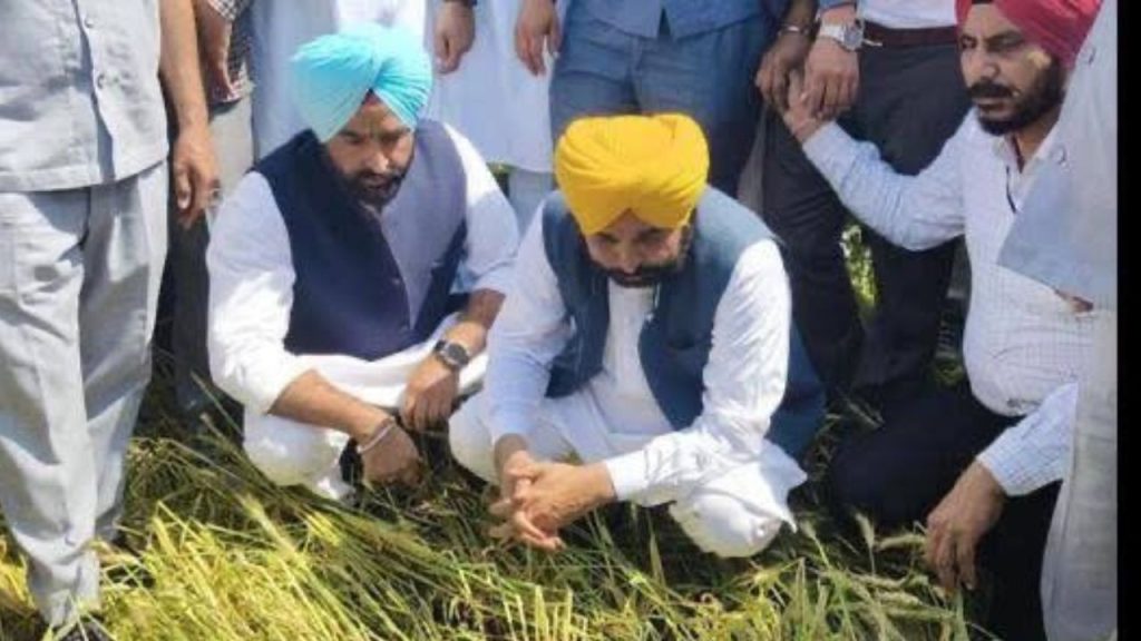 पंजाब के मुख्यमंत्री भगवंत मान ने ‘अपना CM – अपने खेता विच’ के माध्यम से...