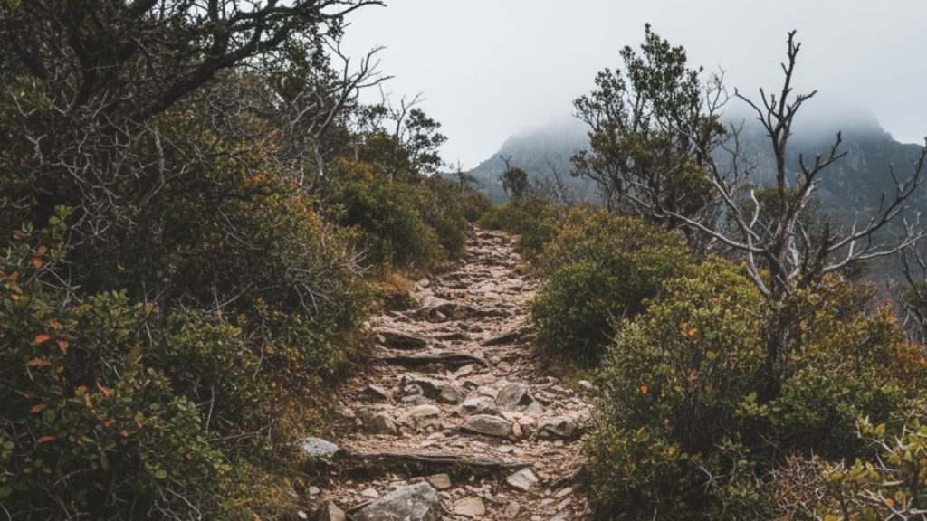 हरियाणा के कैथल जिले के मोहना गांव के 18 वर्षीय युवक का परिवार बताता है कि वह...