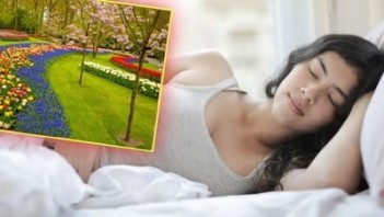 પોસ્ટ્સ