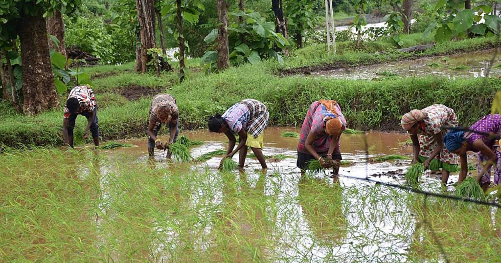 ગુજરાતના ખેડૂતોના વ્હારે આવ્યા મુખ્યમંત્રી ભૂપેન્દ્ર પટેલ