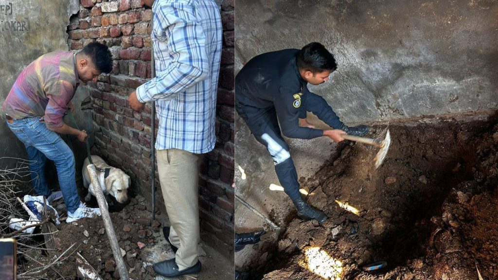 हरियाणा के फतेहाबाद में के9 डॉग स्क्वाड टीम के जैक और रैम्बो ने जमीन के नीचे...