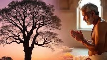 પોસ્ટ્સ