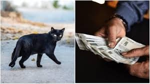 પોસ્ટ્સ