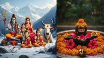 પોસ્ટ્સ