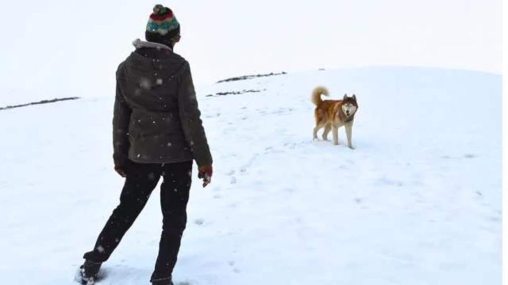 IFFI 2025 में होगा जॉन अब्राहम की फिल्म 'ओस्लो: ए टेल ऑफ प्रॉमिस' का प्रीमियर