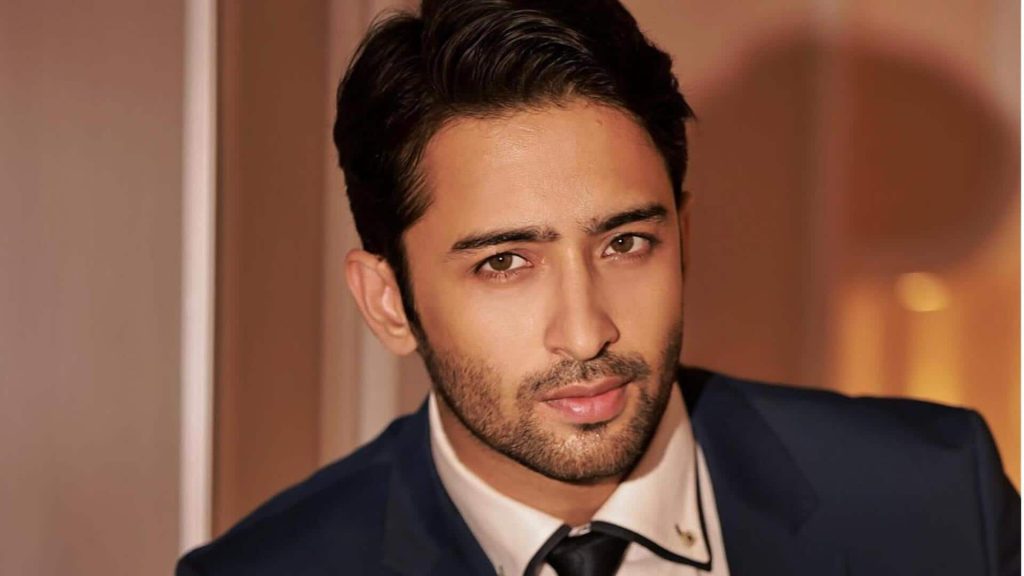 મહાભારતની ‘અર્જુન’ ઉર્ફે શાહિર શેખને બીજી ફિલ્મ મળી महाभारत वाले 'अर्जुन' उर्फ शहीर शेख के हाथ लगी एक और फिल्म