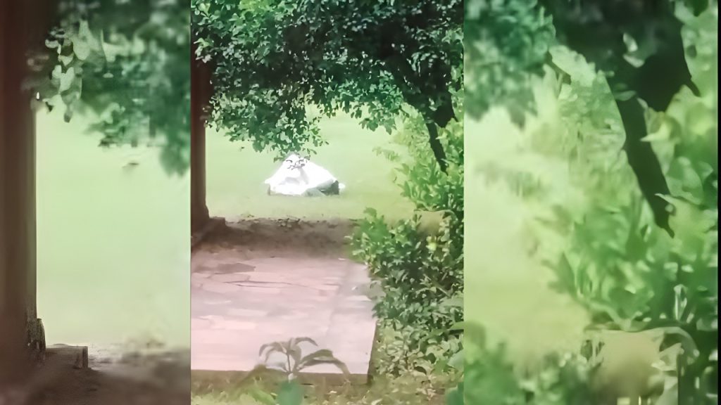 आगरा के ताजमहल में एक युवक के नमाज पढ़ने का वीडियो वायरल होने से विवाद खड़ा...