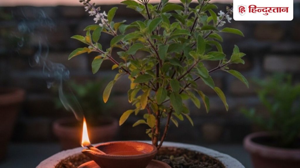 वास्तु शास्त्र: शाम को तुलसी के पास दीया जलाने से मिलते हैं ये 5 फायदे, खत्म हो सकती है पैसों की...