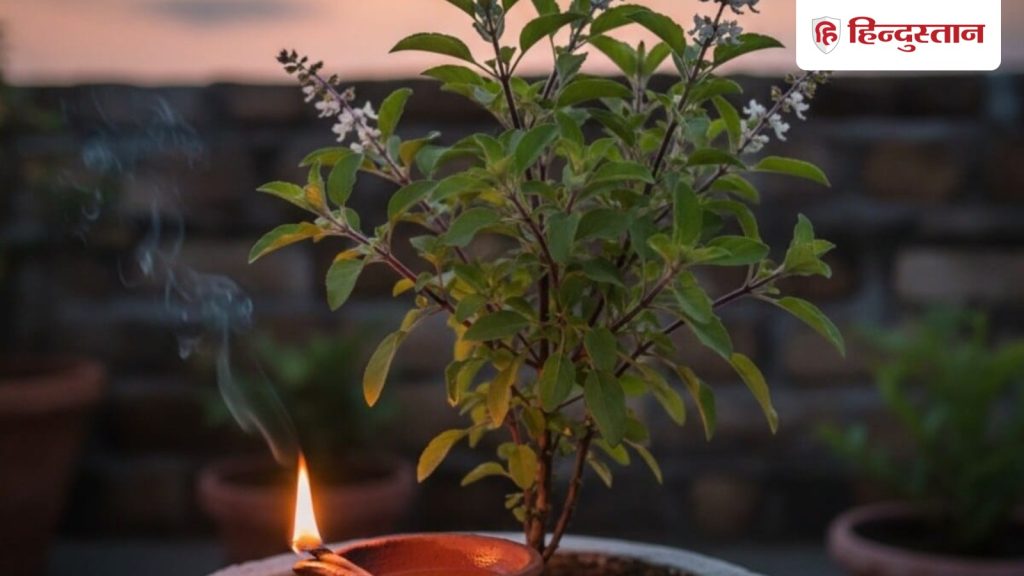 मोक्षदा एकादशी पर ना करें तुलसी से जुड़ी ये गलतियां, लग जाते हैं बड़े...