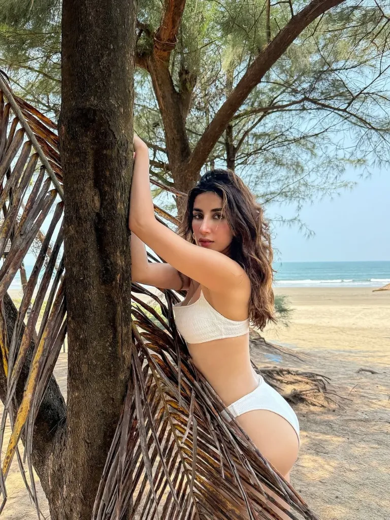 કપિલ શર્માની આ હિરોઈન ખૂબ જ ગ્લેમરસ છે, ફેશન સેન્સની સાથે તે બિઝનેસમાં પણ મોટું નામ છે. કપિલ શર્માની આ હિરોઈન ખૂબ જ ગ્લેમરસ છે, ફેશન સેન્સની સાથે તે બિઝનેસમાં પણ મોટું નામ છે.