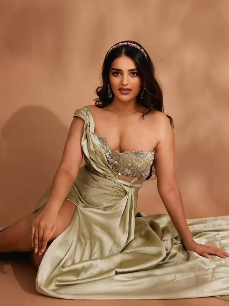 કોણ છે નિધિ અગ્રવાલ, જેની સાથે ચાહકોએ તેને ધક્કો માર્યો? આ ફિલ્મમાં પ્રભાસ સાથે જોવા મળશે