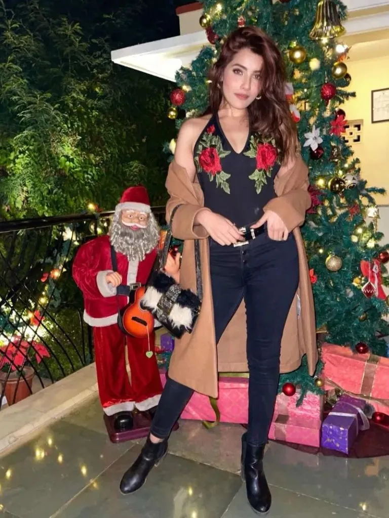 ઈશાન કિશનની રૂમી ગર્લફ્રેન્ડ ખૂબ જ સુંદર છે, તે તેની કિલર સ્ટાઈલથી સુંદરતા ફેલાવે છે.