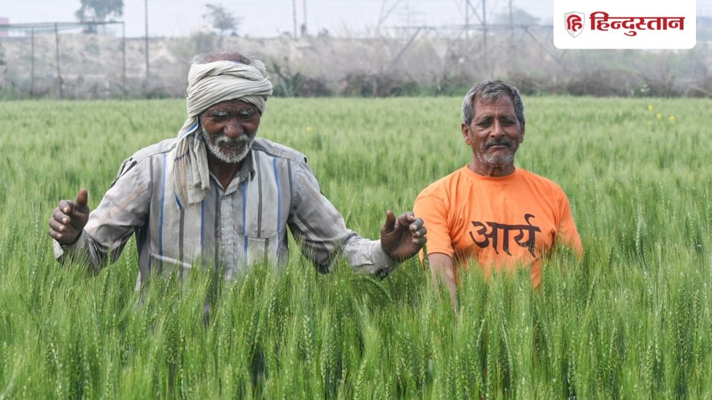 अब बीज विधेयक पर कन्फ्यूजन? किसानों के पारंपरिक बीजों पर लागू होगा या नहीं; क्या बोली...