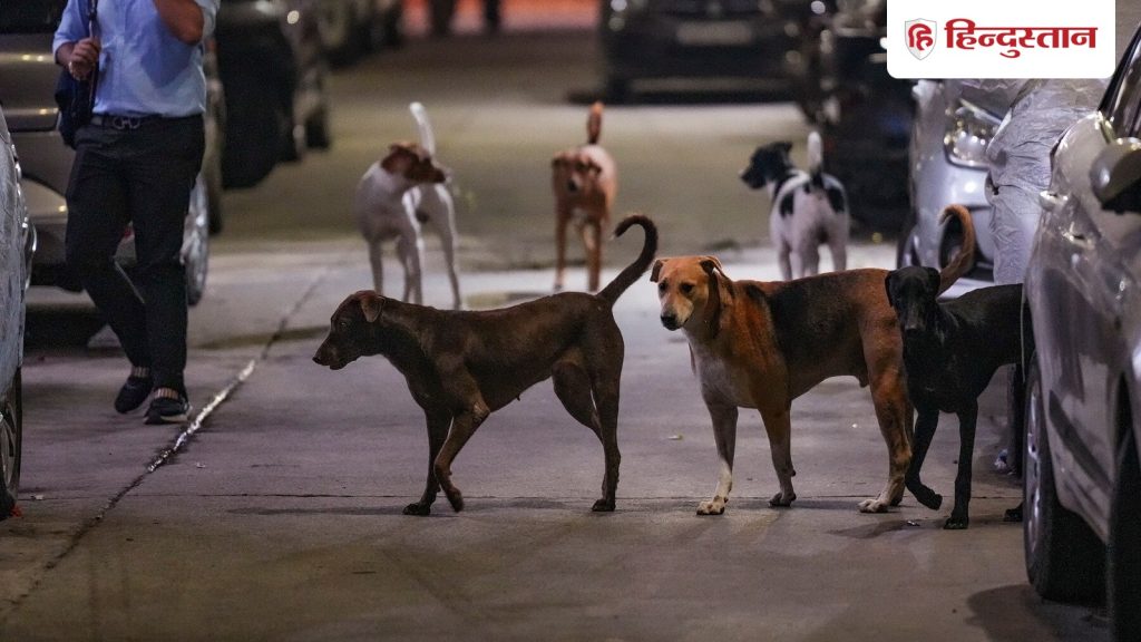 जब मानवता हुई शर्मशार, कुत्ते बने रक्षक; रात भर करते रहे सड़क पर मिले नवजात बच्चे की...