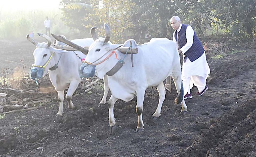 દેશી ગાયના 10 કિલો ગોબરમાં 30 લાખ કરોડ સૂક્ષ્મ જીવાણું હોય છે: રાજ્યપાલ દેશી ગાયના 10 કિલો ગોબરમાં 30 લાખ કરોડ સૂક્ષ્મ જીવાણું હોય છે: રાજ્યપાલ