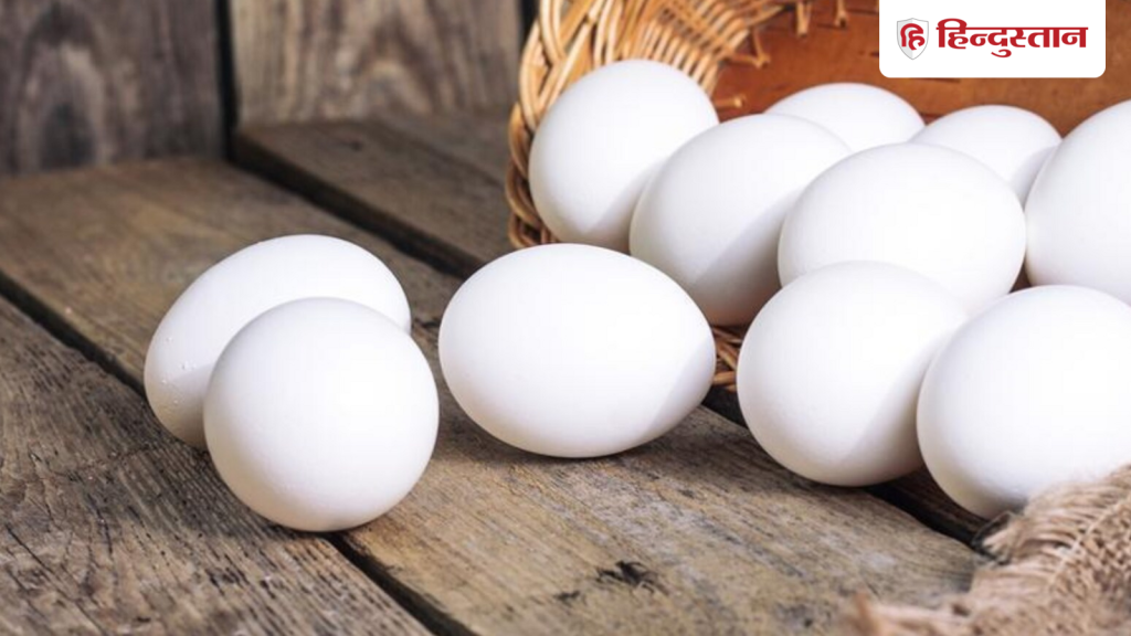 अंडों में 'कैंसरकारी' तत्वों के दावे पर कर्नाटक सरकार अलर्ट, सैंपल टेस्टिंग शुरू; स्वास्थ्य मंत्री बोले- घबराएं...