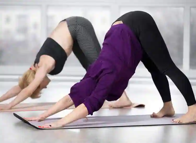 ‘વિશ્વ ધ્યાન દિવસ’ની ઉજવણી અને યોગ બોર્ડના યોગ કોચ-ટ્રેનરનો દીક્ષાંત… ‘વિશ્વ ધ્યાન દિવસ’ની ઉજવણી અને યોગ બોર્ડના યોગ કોચ-ટ્રેનરનો દીક્ષાંત...