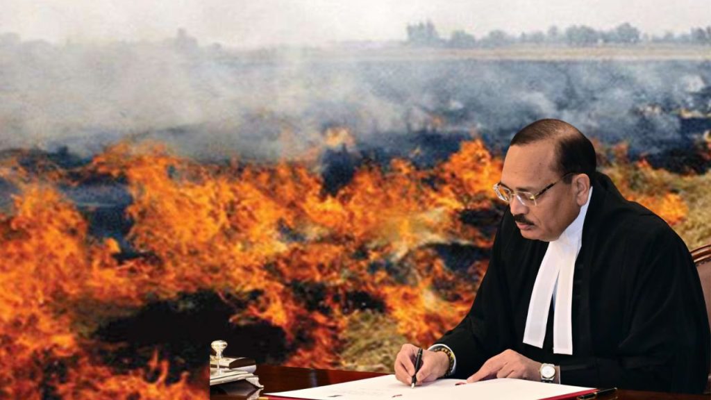 'कोविड में भी जली थी पराली फिर क्यों था आसमान नीला...' दिल्ली-एनसीआर में प्रदूषण को लेकर CJI की गुगली में फंसी केंद्र...