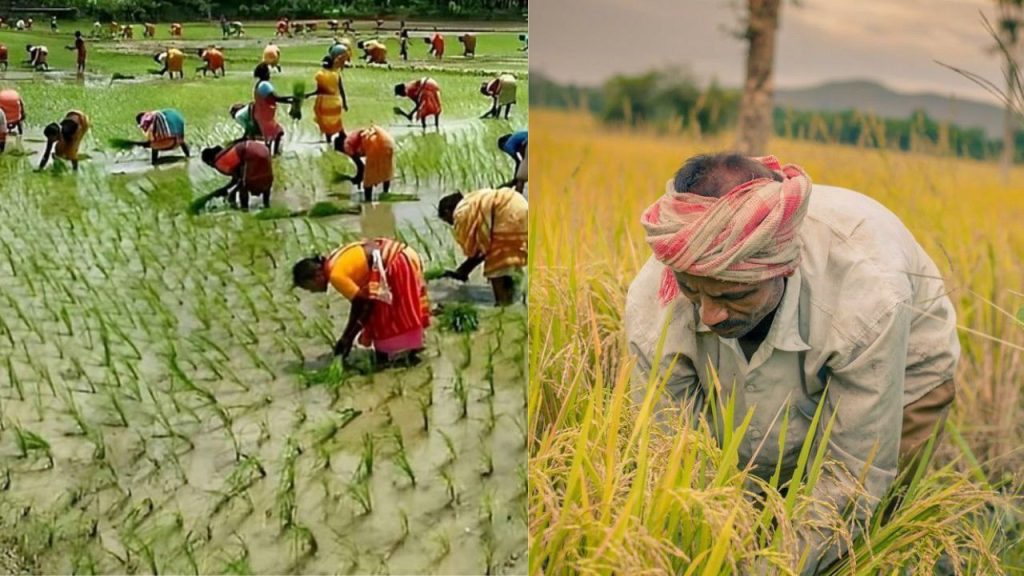 बिहार के किसानों को अगर फसल में हुआ नुकसान तो सरकार करेगी मदद, आज ही इस योजना में करें अप्लाई; जानें प्रॉसेस | Bihar Announces for Farmers whose crops damaged heavy rain montha storm Applications...