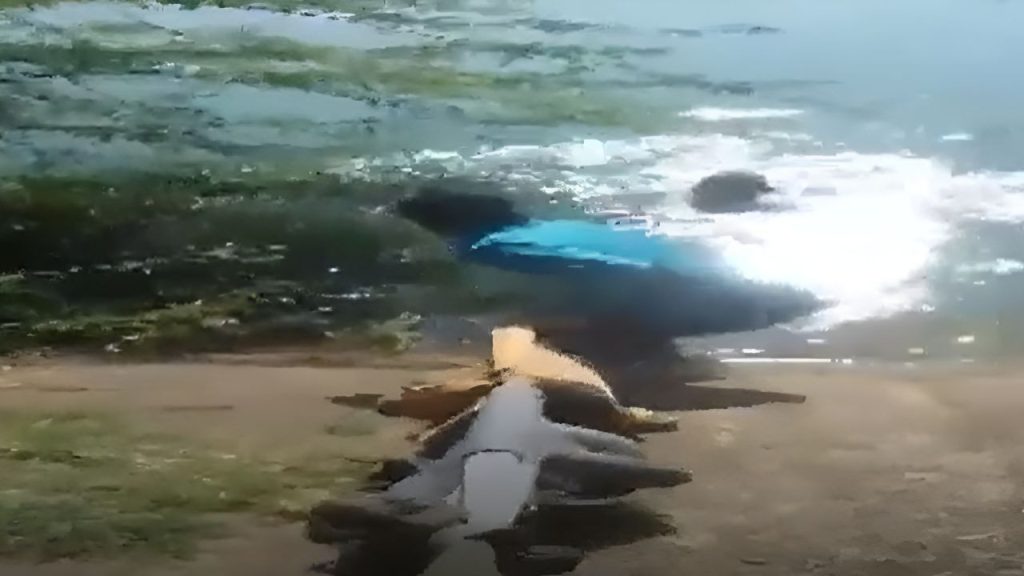 तेज बहाव में फंस गई थी लड़की, दो युवकों की सूझबूझ ने बचा ली जान | girl drowning in canal two boys saved her...