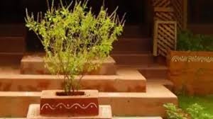 પોસ્ટ્સ