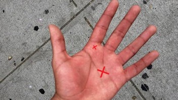 પોસ્ટ્સ