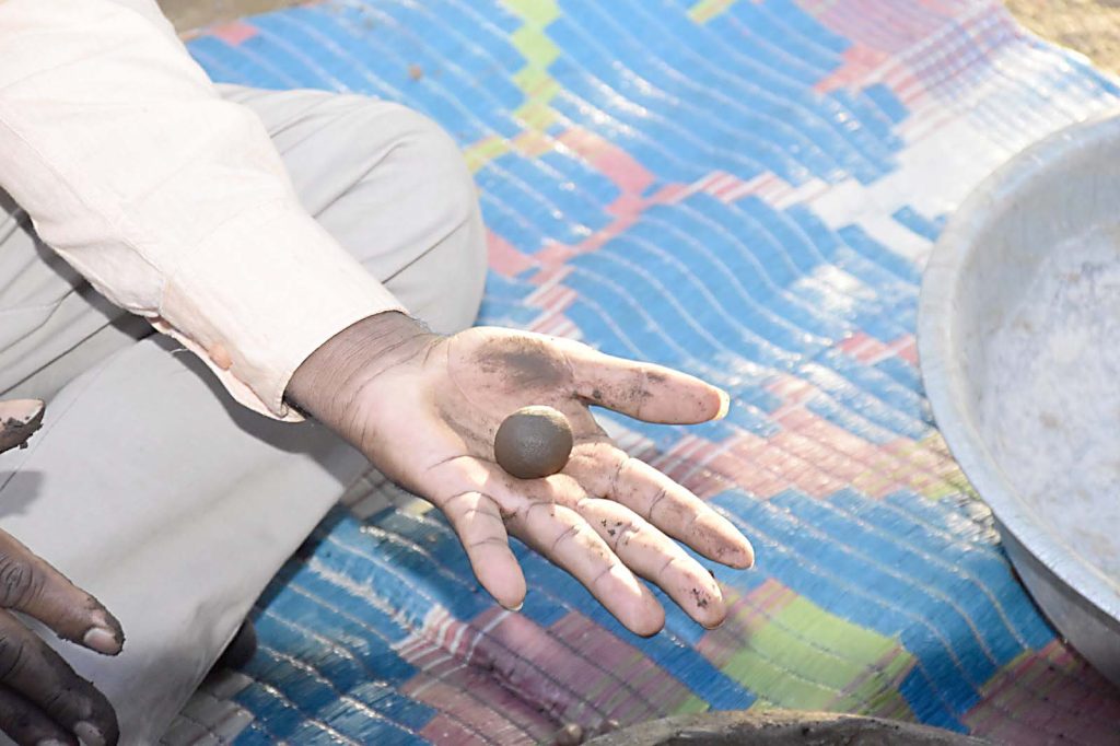 વેરાન વગડામાં 90 હજાર સીડબોલ ફેંકીને ધરતીના સુકા શ્વાસમાં હરિયાળી ફૂંકી...