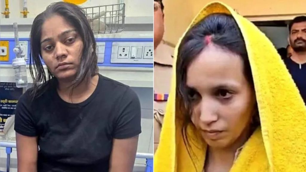 नीला ड्रम ,मेघालय हनीमून मर्डर से लेकर लूव्र हीस्ट..साल 2025 के 5 हिला देने वाले क्राइम | blue drum to black widow and meghalaya honeymoon murder sonam raghuwanshi five horrific crimes of...