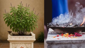 પોસ્ટ્સ