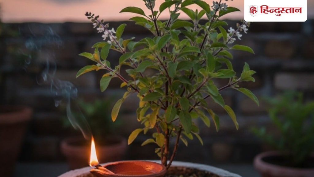 तुलसी के पास दीपक जलाते वक्त करें ये उपाय, बनेंगे आय के नए...