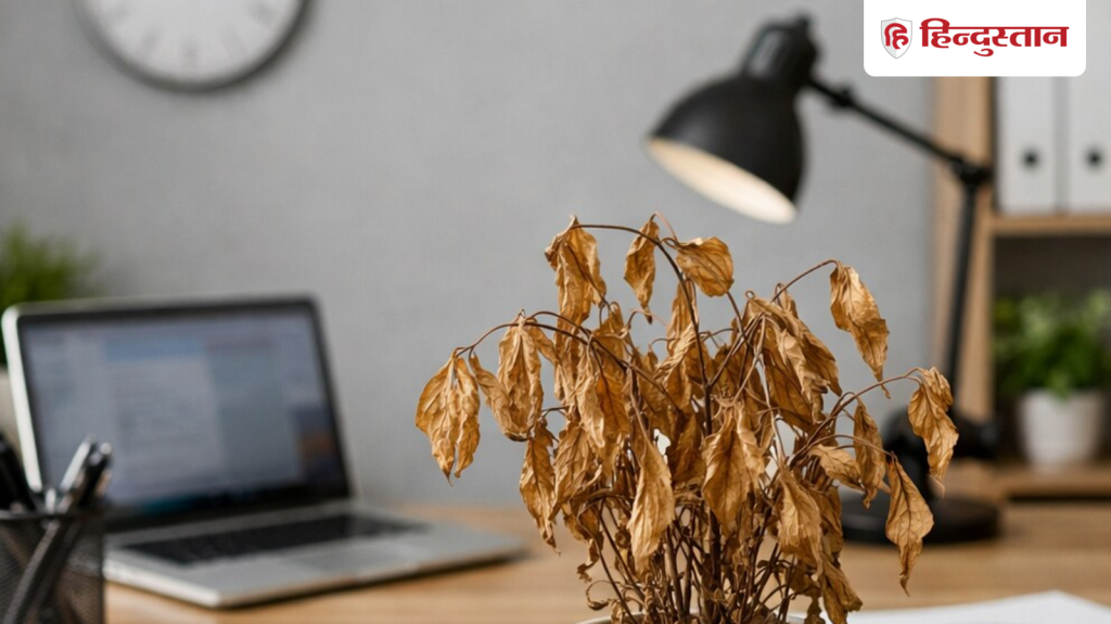 ફેંગશુઈ ટિપ્સઃ શું તમે પણ તમારા ઓફિસ ડેસ્ક પર આ 2 વસ્તુઓ રાખો છો? પ્રગતિ લાવી શકે… Feng Shui Tips: ऑफिस डेस्क पर कहीं आप भी तो नहीं रखते हैं ये 2 चीजें? तरक्की में आ सकती है...