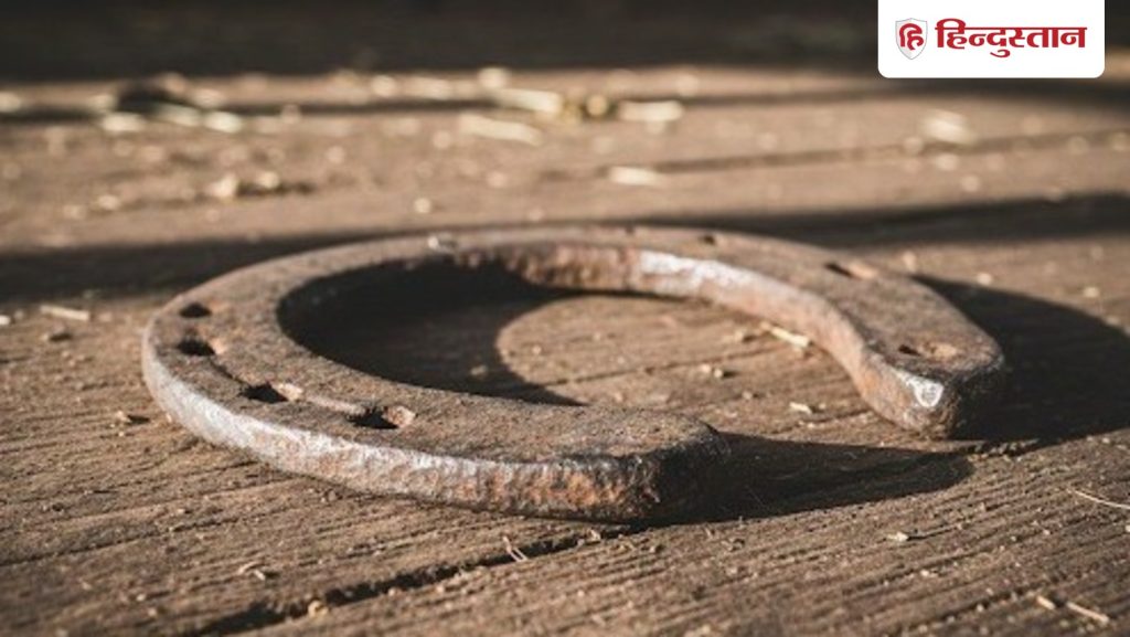 वास्तु टिप्स: 2026 के पहले दिन घर के बाहर लटका दें लोहे की ये चीज, साल भर दूर रहेगी बुरी...