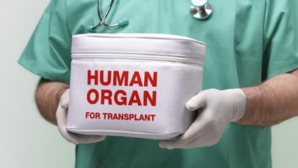 साल 2025 में इस राज्य ने बनाया खास रिकॉर्ड, 198 अंग दान; भारत में हासिल किया तीसरा स्थान | state Breaks All Records in Organ Donation in 2025 Karnataka Ranks Third in...