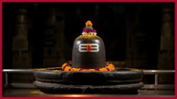 પોસ્ટ્સ