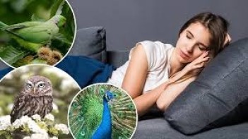 પોસ્ટ્સ