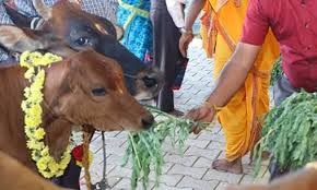 પોસ્ટ્સ