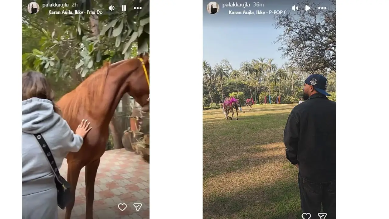 કરણ ઔજલા વિવાદ