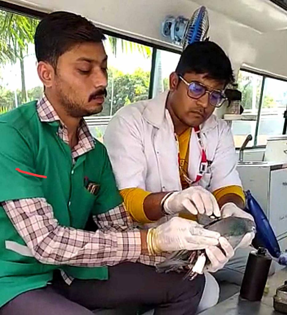 કરૂણા અભિયાનઃ ઉત્તરાયણ પર્વ નિમિત્તે ૮૫૦૦ સ્વયંસેવકો પક્ષીઓના બચાવ માટે… કરૂણા અભિયાનઃ ઉત્તરાયણ પર્વ નિમિત્તે ૮૫૦૦ સ્વયંસેવકો પક્ષીઓના બચાવ માટે...