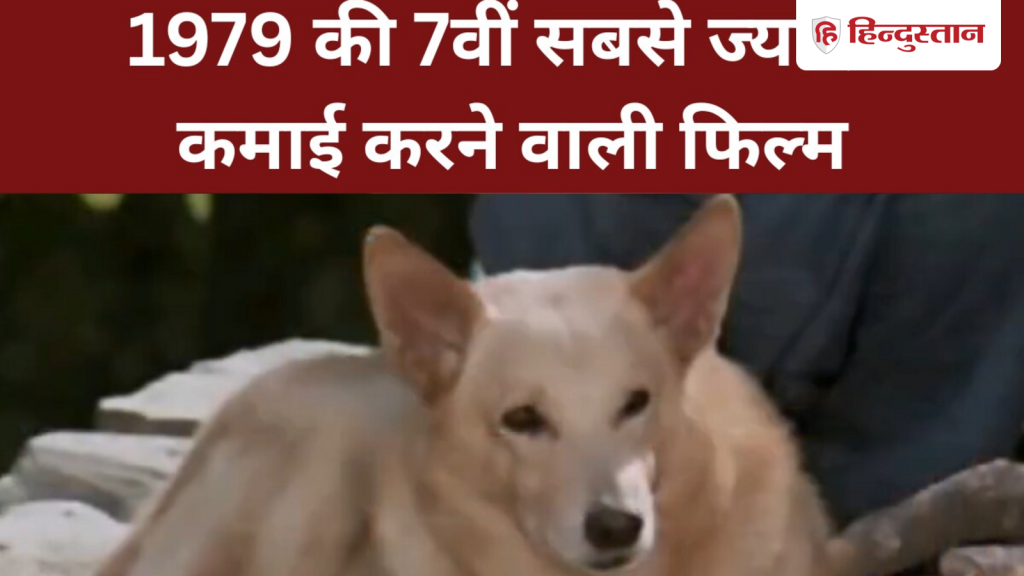 1979 में आई इस फिल्म में एक डॉग था रियल हीरो, शूट खत्म होते ही हो गई थी उसकी...