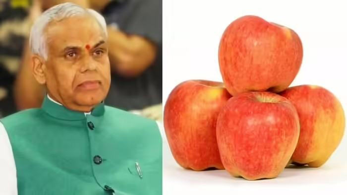 Natural Farming Benefits India: સફરજન ખાઓ છો કે ઝેર? કાશ્મીરના બગીચાઓમાં જંતુનાશકોથી વધ્યું બ્રેઈન ટ્યુમર, રાજ્યપાલ આચાર્ય દેવવ્રતની ગંભીર ચેતવણી: ૨૦૨૬ માં પ્રાકૃતિક ખેતી જ બચાવશે માનવજીવન -… Natural Farming Benefits India: સફરજન ખાઓ છો કે ઝેર? કાશ્મીરના બગીચાઓમાં જંતુનાશકોથી વધ્યું બ્રેઈન ટ્યુમર, રાજ્યપાલ આચાર્ય દેવવ્રતની ગંભીર ચેતવણી: ૨૦૨૬ માં પ્રાકૃતિક ખેતી જ બચાવશે માનવજીવન -...