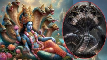 પોસ્ટ્સ